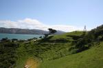 Matiu Somes Island - 11 - Summit and pastures