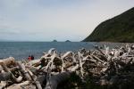 Kapiti Island - 08 - En attendant le bateau