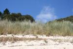 Christmas 2012 - 032 - Awaroa Beach, Abel Tasman