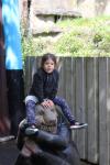 Wellington Zoo 15