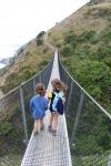 Paekakariki 15 - Escarpment Track