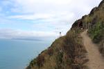 Paekakariki 16 - Escarpment Track & Kapiti Island