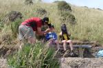 Paekakariki 19 - Escarpment Track