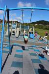 Churton Park 14