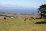 Skyline Track 05 - Mount Kaukau Summit