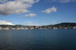 Wellington 003