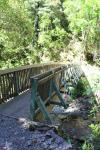 Upper Moutere 2016 - 21 - Brook Waimarama Sanctuary