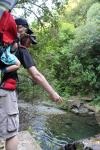 Upper Moutere 2016 - 24 - Brook Waimarama Sanctuary