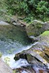 Upper Moutere 2016 - 25 - Weir, Brook Waimarama Sanctuary