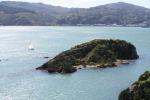 Matiu Somes Island - 27 - Mokopuna Island