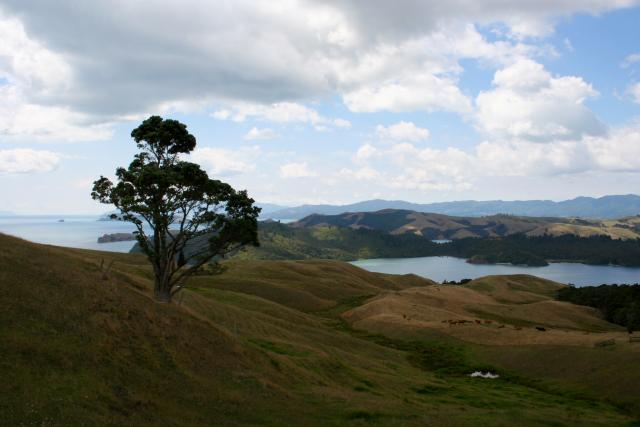 001 - Coromandel - Lookout near Manaia, SH25