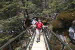 Christmas 2012 - 059 - Brand new bridge, Cascade track, Nelson Lakes