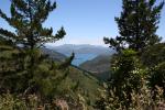 Christmas 2012 - 123 - Whatamango Bay from Port Underwood Rd pass