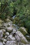 Christmas 2012 - 025 - Falls River, Abel Tasman