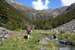 Christmas 2012 - 057 - Cascade track, Nelson Lakes