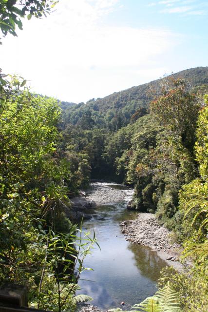 Kaitoke 22 - Pakuratahi River fromTerrace Walk