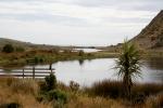 10 - Lake Kohangapiripiri, shag, and ferry