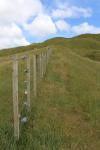 Paekakariki 09 - Battle Hill