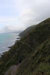 Paekakariki 13 - Escarpment Track