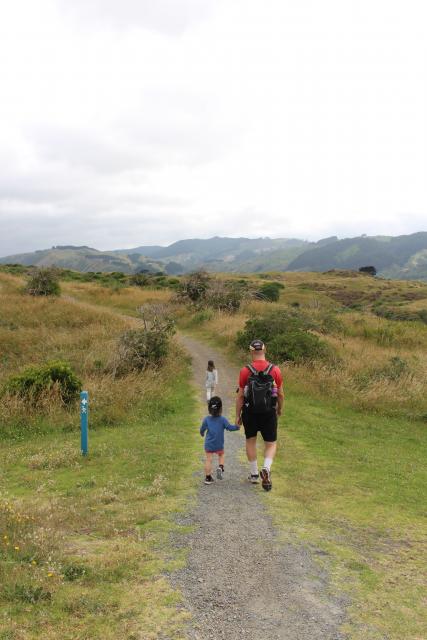 Paekakariki 36 - Inland Track, Queen Elizabeth Park