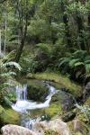 Christmas 2012 - 015 - Huffam stream, Abel Tasman