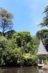 Visite des Dray 60 - Duck pond and rotunda - Botanical Garden