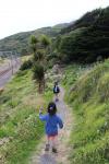 Paekakariki 11 - Escarpment Track