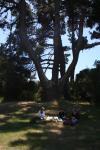 Christmas 2012 - 041 - Picnic on Tahunanui, Nelson