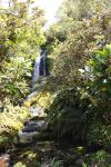 25 - Twin Falls, Taranaki, Wilkies Pool track