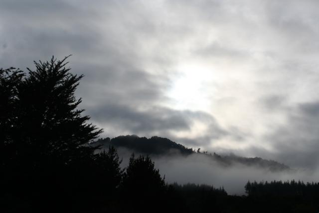 Odyssey 2009 - 15 - Morning in Minginui (later)