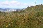 Skyline Track 04 - Mount Kaukau Summit