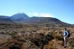 67 - Tongariro Traverse - Jeff, tussocks, and Ngauruhoe