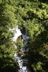 Christmas 2012 - 054 - Cascade track, Nelson Lakes