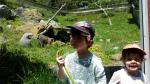 Wellington Zoo 03 - Baboons