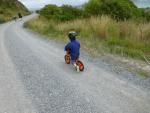 Pencarrow Coast Road 07