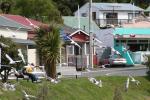 070 - Dunedin - In Portobello