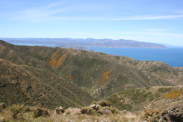 11 - Rimutaka Range from Hawkins Hill