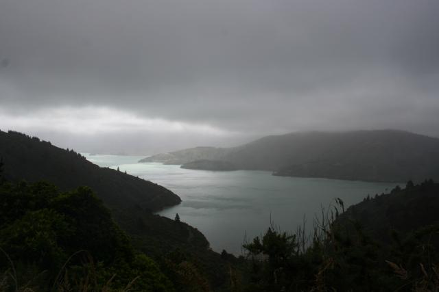 24 - View over Kenepuru Sound