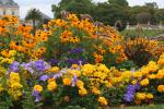 07 - Jardin du Luxembourg