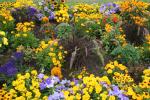 08 - Jardin du Luxembourg