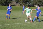 Marist Inter Vs Petone Chicago 58