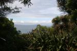 Tiritiri Matangi - 08 - Rangitoto from Tiri