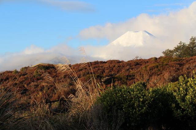 Whakapapa 16 - Mt Ngauruhoe - View from motel, blue sky version