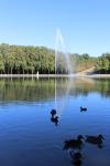 France 2016 - 117 - Canards, Parc de Sceaux