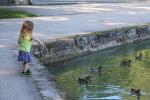 France 2016 - 118 - Sophie donne des cailloux aux canards, Parc de Sceaux