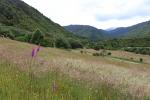 Otaki Forks 06 - Fenceline walk