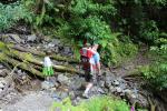 Otaki Forks 08 - Fenceline walk