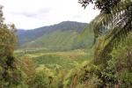 Otaki Forks 10 - Fenceline walk