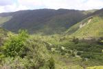 Otaki Forks 60 - Our tent is the orange one