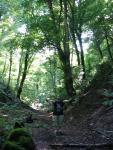 Gargano 016 - Foresta Umbra, chemin Dispenso Lago d'Otri
